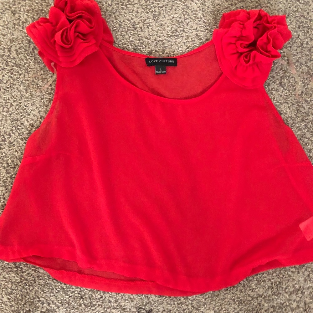 Sheer crop top